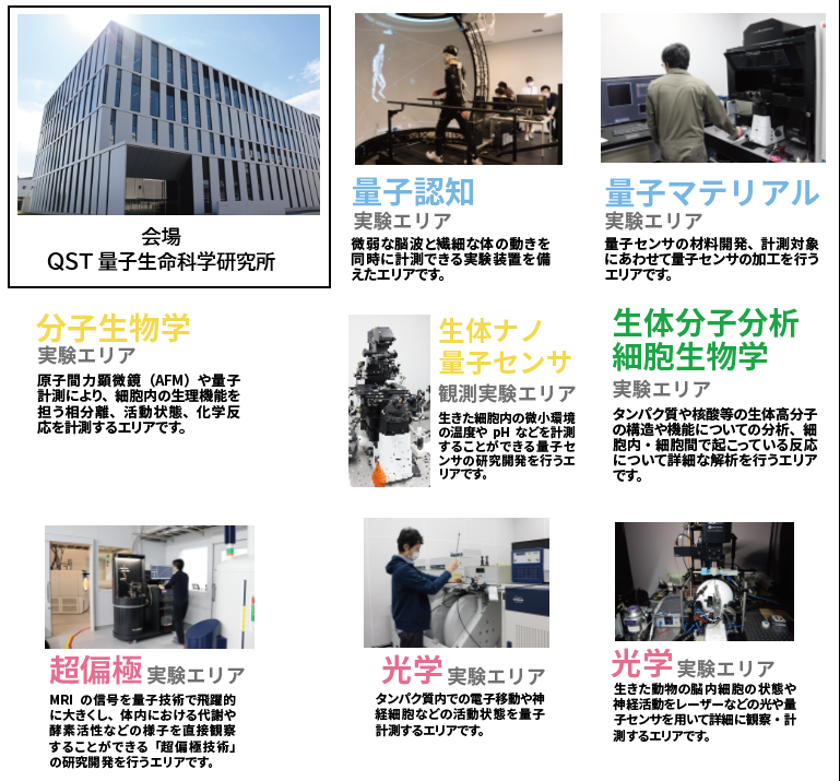 QST_CHIBA's tweet photo. #量子生命科学研究所 では #千葉大学 と連携して、同大学大学に量子生命科学コースを開設しています。6/27(土)に本コースの大学院説明会および研究室見学が開催されます📢#量子技術 #量子科学 #生命科学 、これらの融合研究に興味がある方、ぜひご参加ください。
詳細・申込👇
https://t.co/1ZSdxO7fP7 https://t.co/DbgpBn4yIB
