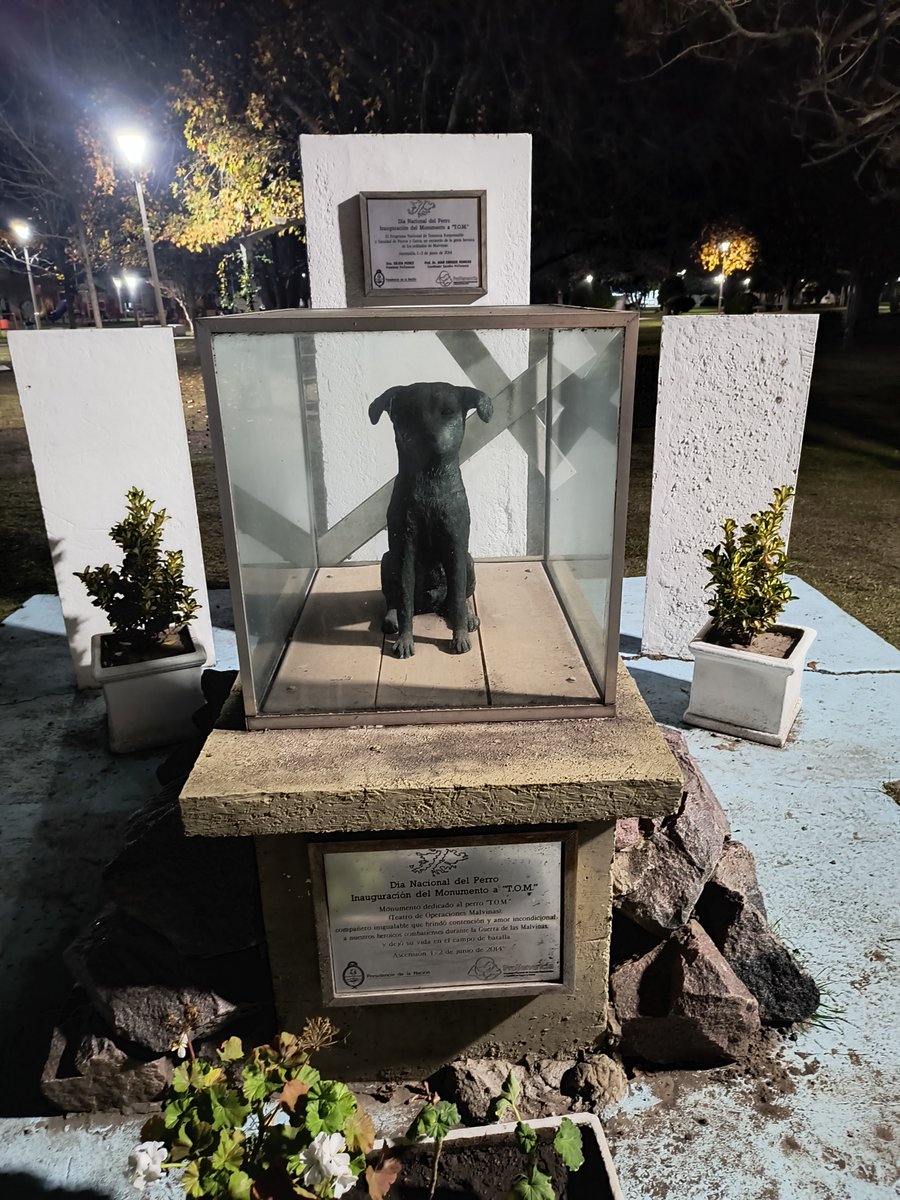 MalvinasData's tweet photo. 🐶 Monumento que recuerda al perro artillero Tom en la localidad de Ascensión, al norte de la provincia de Buenos Aires.

📷 @fissh_master https://t.co/aX4UOKAecv