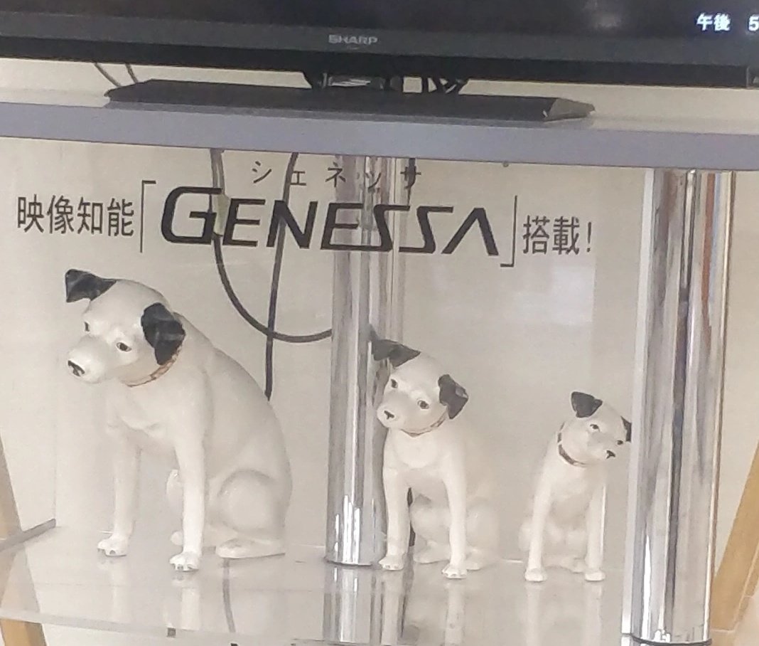 mk375sphere's tweet photo. ビクター犬へのこんな拷問、許されてええんか！？（泣） https://t.co/yVxug7N8vz
