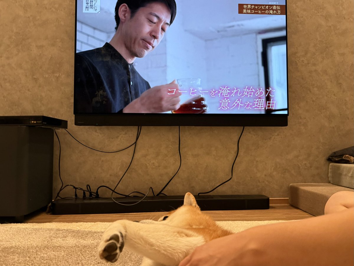 Musashi_Kihara's tweet photo. 帰宅後ふとテレビをつけたら@tetsu_kasuya さん😍 https://t.co/hbbEBCULNp