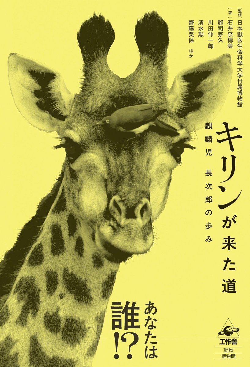 室内／昭和46年　No.194〜202　工作舎 工作舎 (@kousakusha) / Posts / X
