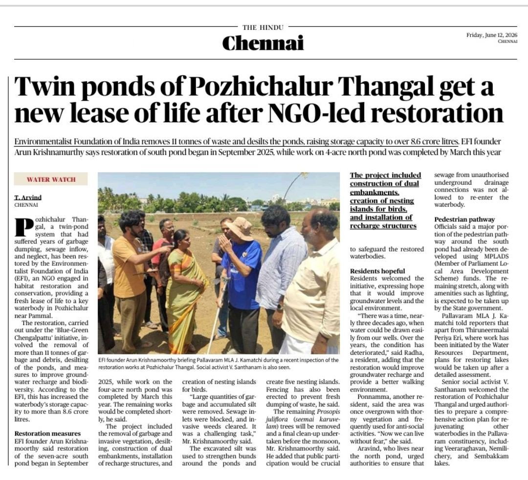 EFIVolunteer's tweet photo. Two water bodies in Polichalur was an open cesspool with legacy trash dumped. Today, it’s a revived water body.

#WhateverToWaterForever #PlanetNeedsAFix

Volunteer for Chennai &amp; Her Environment with E.F.I

#Polichalur #WaterBody #Water #Lake #Pond #LakeRestoration https://t.co/MiJIs9eUrv