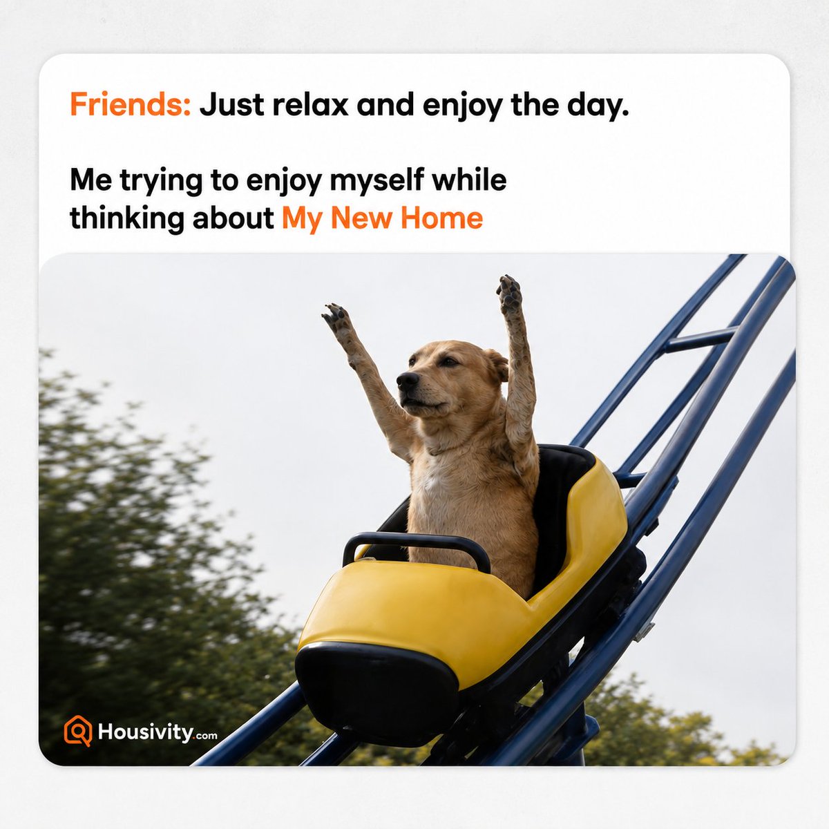 housivity's tweet photo. Haa bhai haa, bohot mazza aa rahi hai

#HousivityMemes #DogLife #NewHomeLife #DogLover #Rollercoaster #UnstoppableMazza #funny #memes #relatable #realestatehumour #treand #fyp https://t.co/tVzD9x0pdg