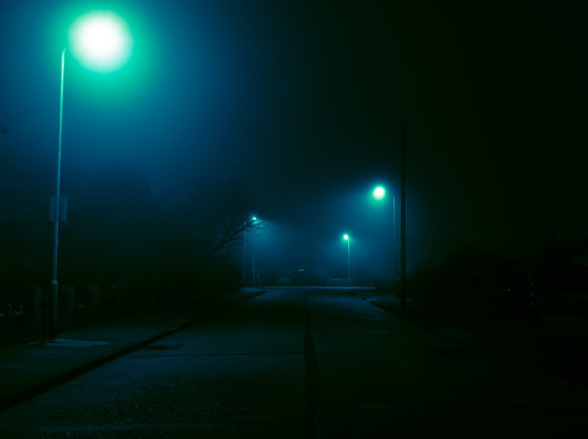 zosphotos's tweet photo. My nightly walks in the fog https://t.co/eTXsHWpokP
