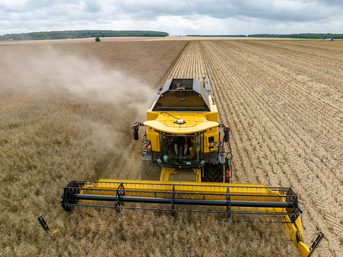 _AXEREAL's tweet photo. La moisson va démarrer dans nos zones de collecte

Cette période est double pour nos métiers : elle se traduit par une activité intense pour accueillir efficacement les livraisons des agriculteurs, dans un schéma logistique précis, intégrant nos process qualité. ⬇️ https://t.co/09qQtzC9hl