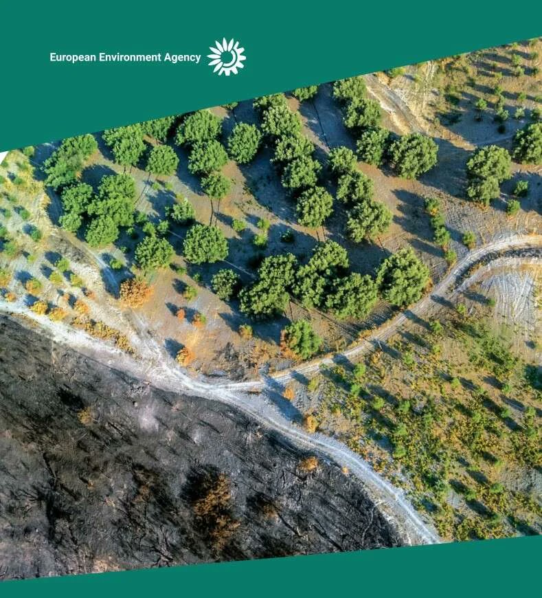 Greenreport_it's tweet photo. 822 miliardi di euro di danni e 441mila vittime: il conto degli eventi estremi in Europa dal 1980. Per l'EEA mitigare non basta più: bisogna adattarsi. https://t.co/MBeZKHCJPe https://t.co/qhlqFq6Q9l
