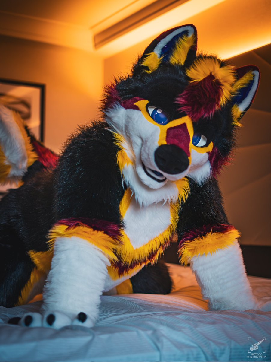 kage_wolfdeer tweet picture