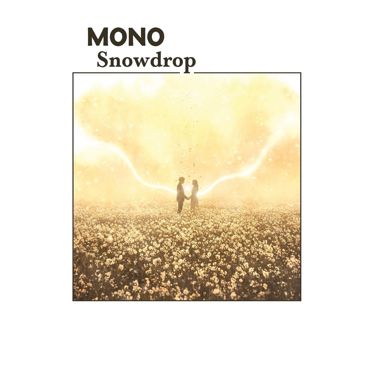normanrecords's tweet photo. NEW MUSIC FRIDAY: ‘Snowdrop’ by MONO

Acclaimed Japanese post-rock outfit MONO balance orchestral instrumentation and ambient atmospheres.

@monoofjapan
@TempResLtd
https://t.co/fxerlrNVTQ https://t.co/Ns8kILY1Pr