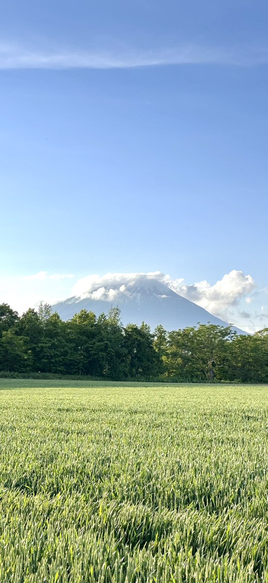 rusutsu_guide's tweet photo. 今日は晴れたり曇ったりの天気で途中、小雨も降りましたが、今は羊蹄山が見えてます☺️ https://t.co/w7hBav27Is