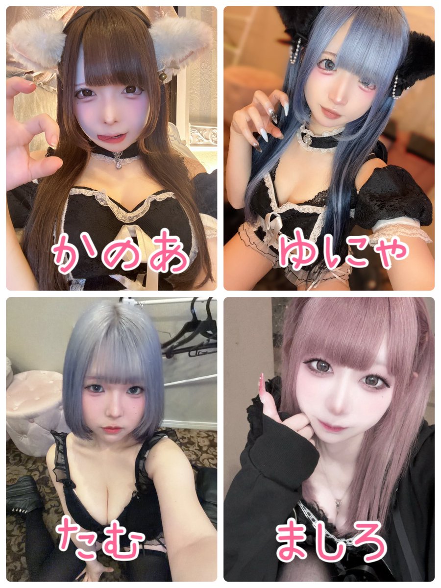 cafe & bar にゃどらぶる tweet media