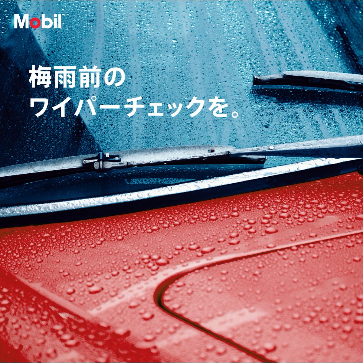 Mobil1_jp's tweet photo. 梅雨の季節になりました☔️​
雨の日、こんな症状ありませんか？​
​
・ワイパーが引っかかる​
・拭きムラが気になる​
・使用時に音がする​
​
そんな時は、ワイパー交換のサインかも👀​
梅雨本番の前に、愛車の視界チェックをお忘れなく💡​
​
#Mobil #雨の日ドライブ https://t.co/fYIkyfohls