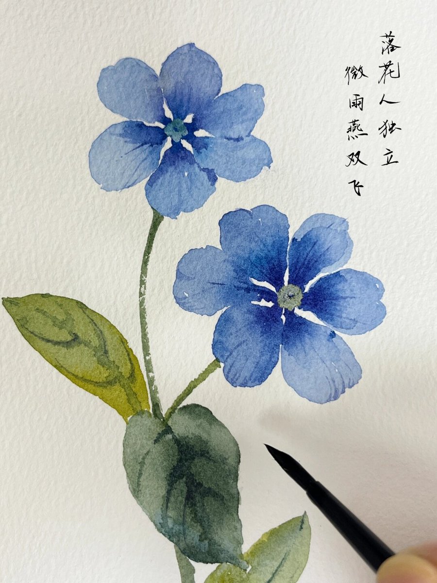 mason711's tweet photo. Unwind with a 30-min watercolor doodle tonight – no rules, just colors and calm! https://t.co/k8fx4qAPpV
