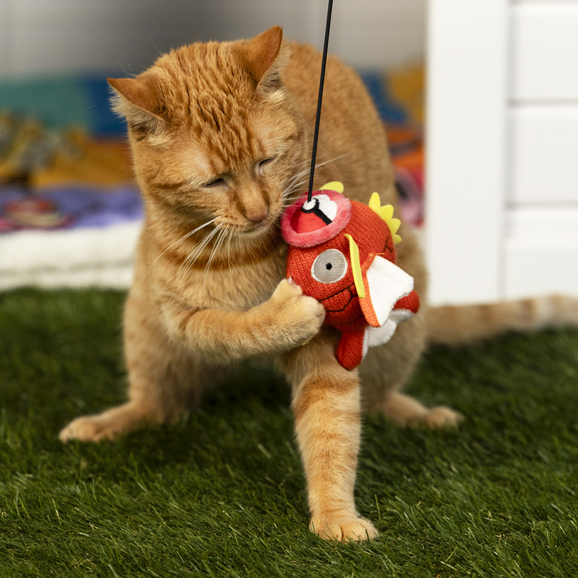 JVCom's tweet photo. Une collection absolument adorable d'accessoires Pokémon pour animaux de compagnie !

C'est disponible sur le site officiel de Pokémon Center ! https://t.co/mmCCVprLTq
