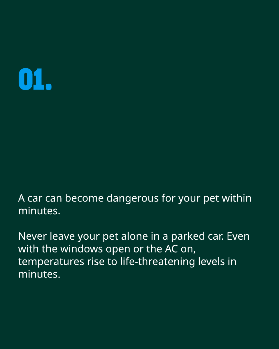 humaneworldeu tweet picture