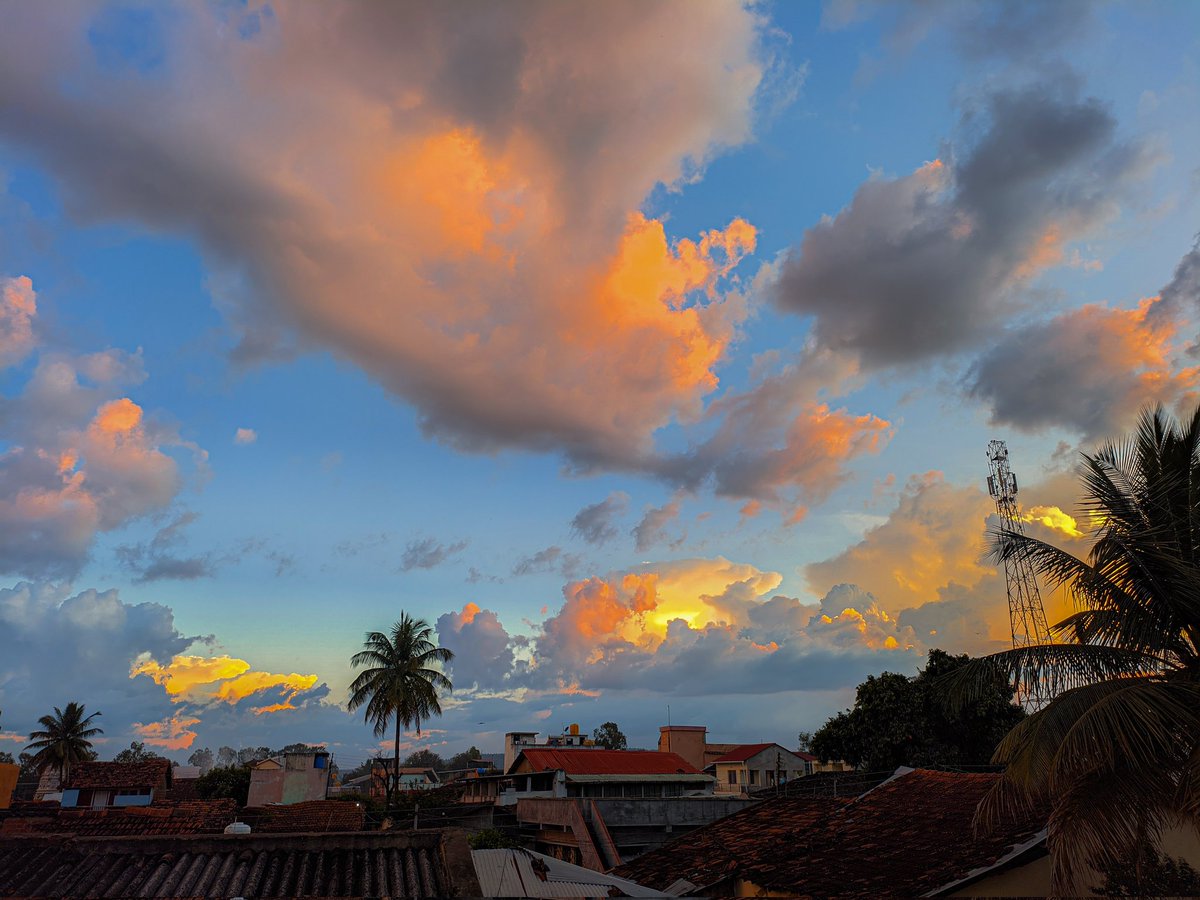 rohittonapi45's tweet photo. Sunset Special 🌆 https://t.co/XDFJ0q02DE
