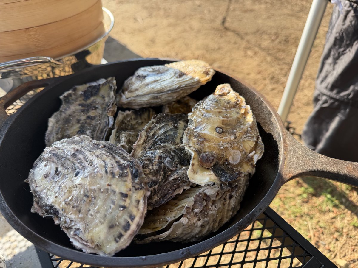 d5_spa's tweet photo. 日本海側の牡蠣も悪くないな😆 https://t.co/mJQsv618Zm