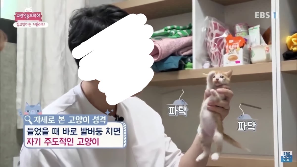 NU_wrap's tweet photo. 이거 초반 에드몬드 https://t.co/iQ1VM2NAJ1