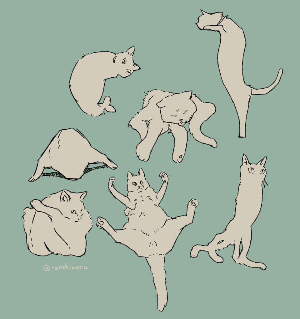 teruhimaru's tweet photo. 変な形の猫ずっと楽しみにしてる https://t.co/c8WmdiXWAJ