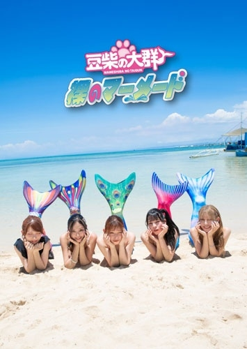 TOWER_Idol's tweet photo. 【豆柴の大群】

New Single『裸のマーメード』7月8日発売🧜🏻‍♀️🫧

🎁タワレコ先着特典：トレーディングカード メンバー別カット全5種のうち1種をランダム

🎊オンライン期間限定🎊
全品ポイント20％還元開催中
初回盤は「2,400円分」ポイント付与✨

🔻
https://t.co/4qlMDhDK6O

#豆柴の大群 https://t.co/5Juge653BJ