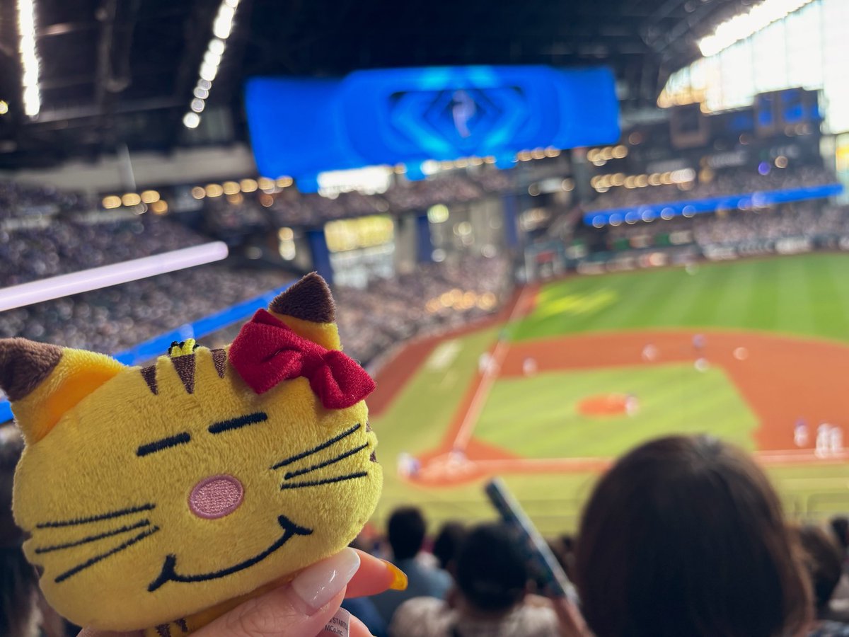 if___uta's tweet photo. エスコンにネコます連れてってたらビールのお姉さんに「増田くんのマスコットですね☺️」って言われた🥹🌟認知あってうれし https://t.co/FQ254jq73Q