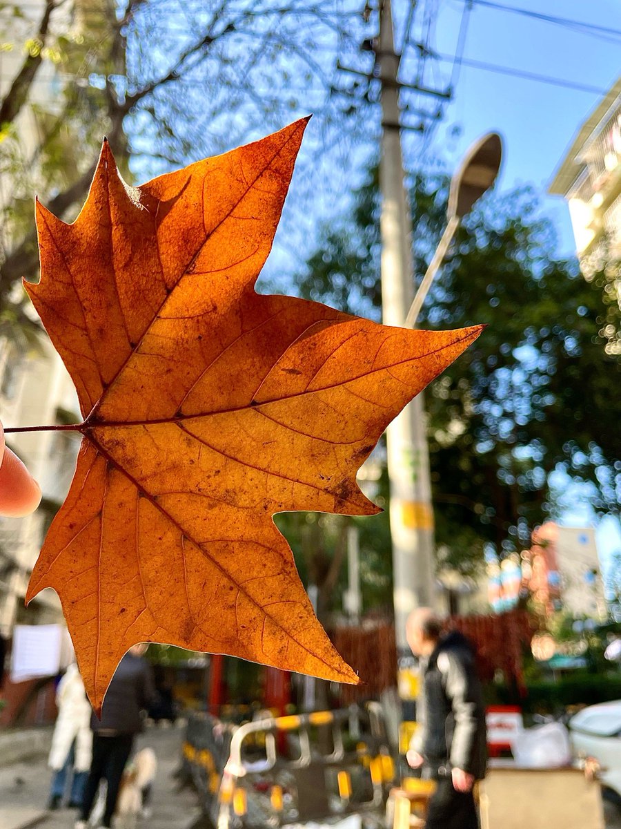 nazar_nn20010's tweet photo. A stranger handed me an extra warm coffee today when I realized I’d forgotten my wallet. Small kindnesses make hard days light up. https://t.co/2AX4GBOsx3