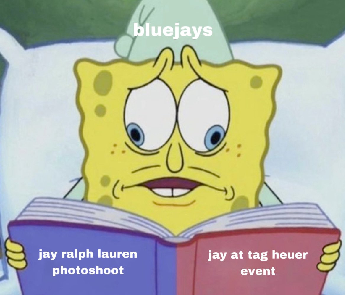 starsbyjay's tweet photo. entire bluejay house having a feast https://t.co/CfeEke8D9M