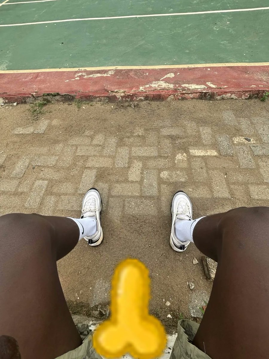 _web3illuminati's tweet photo. Please don't bother @ThePenimals  CM @Clementothniel_  when he is playing tennis. He takes it very seriously and it excites him greatly. 8=D https://t.co/1SfqE0CaDo