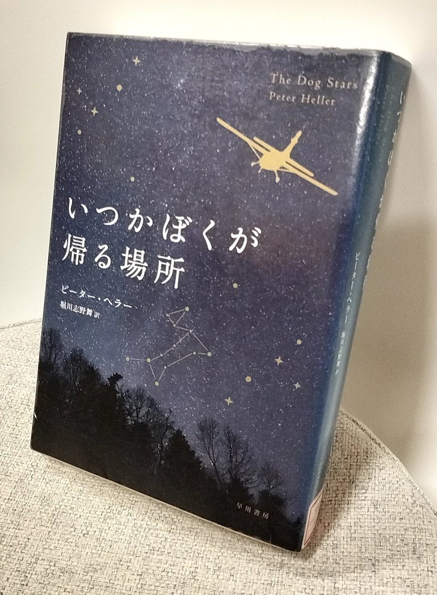Kin_2019's tweet photo. https://t.co/LieYgKe8Te