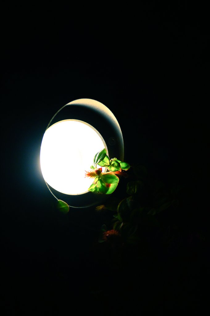 XXOXO_9's tweet photo. Looming in the dark
#キリトリセカイ
#写真好きな人と繋がりたい
#カメラ好きな人と繋がりたい
#Nikon #Z72 https://t.co/XFzhLQT90D