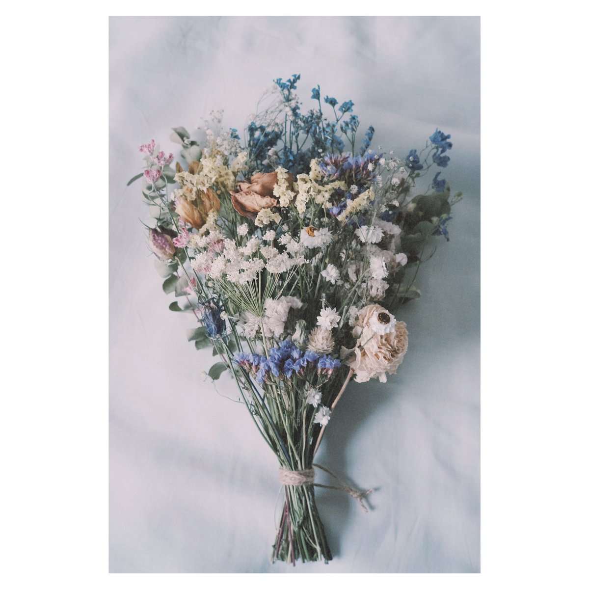 ko_bito3's tweet photo. 花と暮らす日々 https://t.co/WQOOyiyRAp