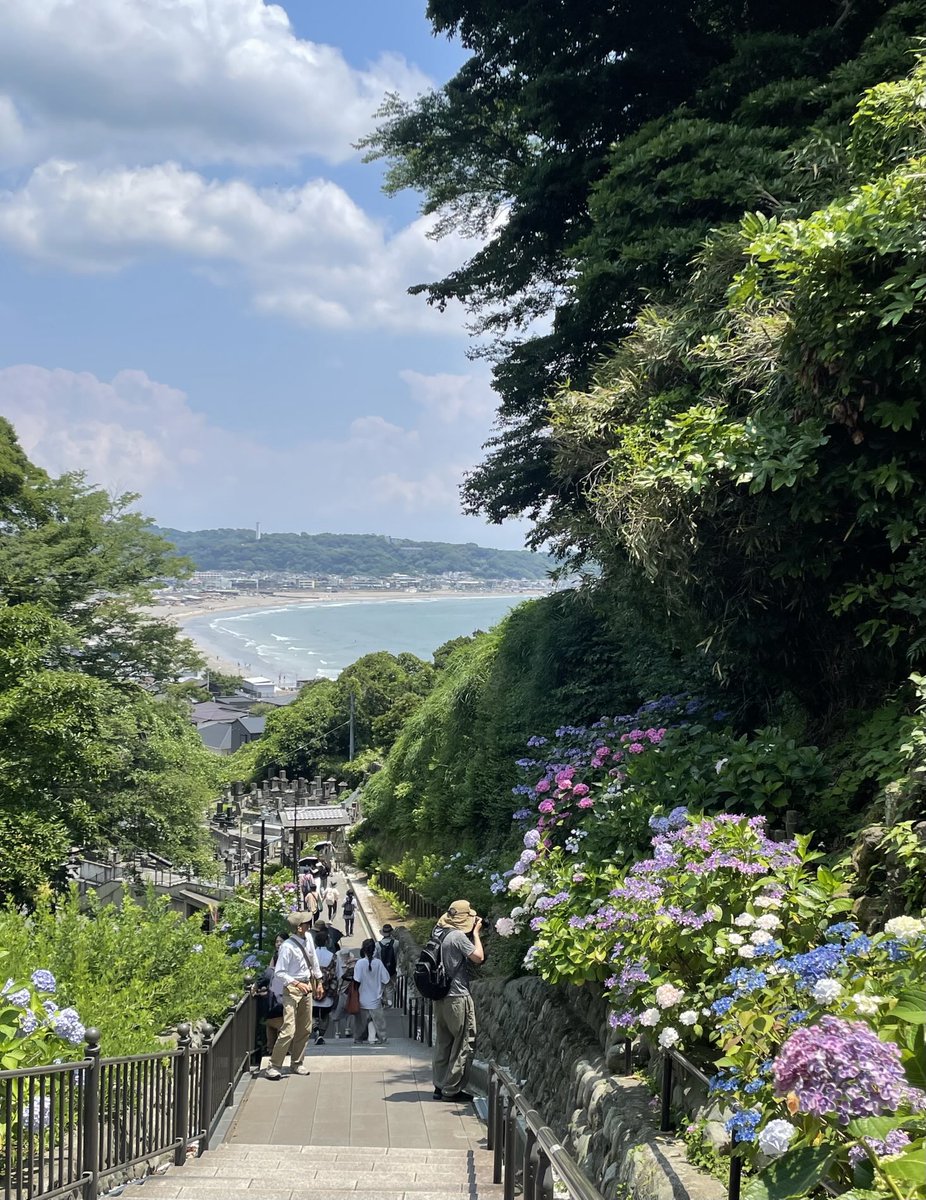 shoptowa's tweet photo. ご近所の成就院へ

参道から由比ヶ浜を望む風景が素敵な寺院
紫陽花の時期の華いだ景色は特別✨

一つ一つに魅入ってしまうほど種類も色々観られて楽しめます

切通しや歴史ある場所、小道のカフェを巡り長谷・極楽寺のお散歩へぜひ

十和は長谷駅から裏路地へ1分
器と暮らしの道具をご覧いただけます https://t.co/x1Aetrypcr