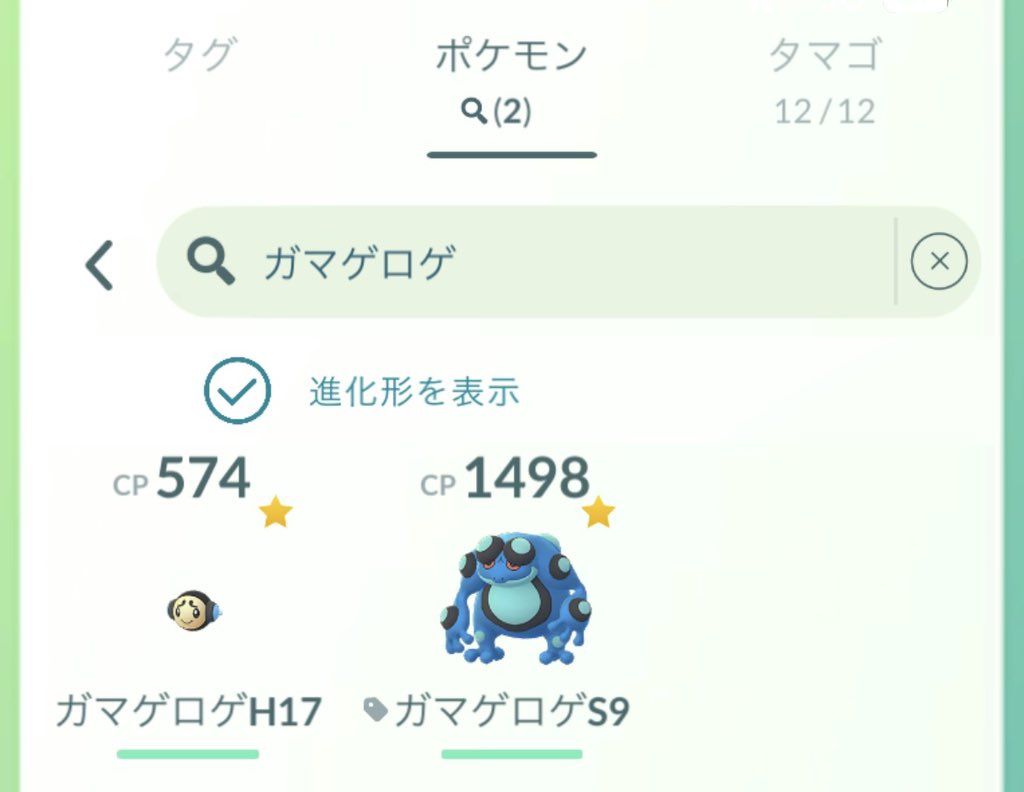marron__63's tweet photo. @32mayfairPGO とりあえず全部厳選しておいたほうが良いと師匠に教わった気がしてます！ https://t.co/MmJpkK7H7F