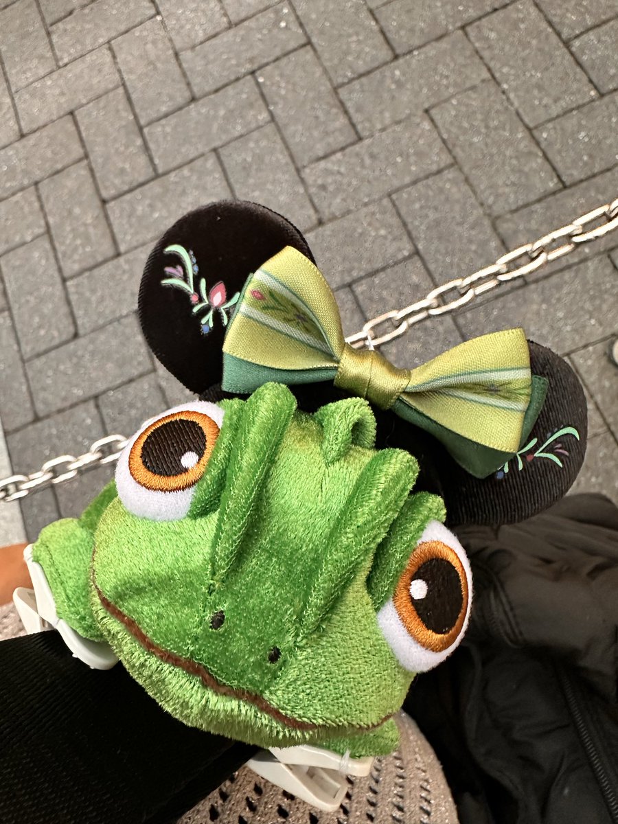 Chaaao88's tweet photo. ディズニーシーに高校ん時の友達と遊びに行ってきました⸜🙌🏻⸝‍😊
1年ぶりか🤔✨️
色んなグッズが沢山あって可愛かった
(❁´ω`❁)
ラプンツェルの相棒『パスカル』の着せ替え🤣🫶🏻︎キャストの方が『お‼️オシャレ』と言ってくれました❤️ https://t.co/jeP3BsVMsQ