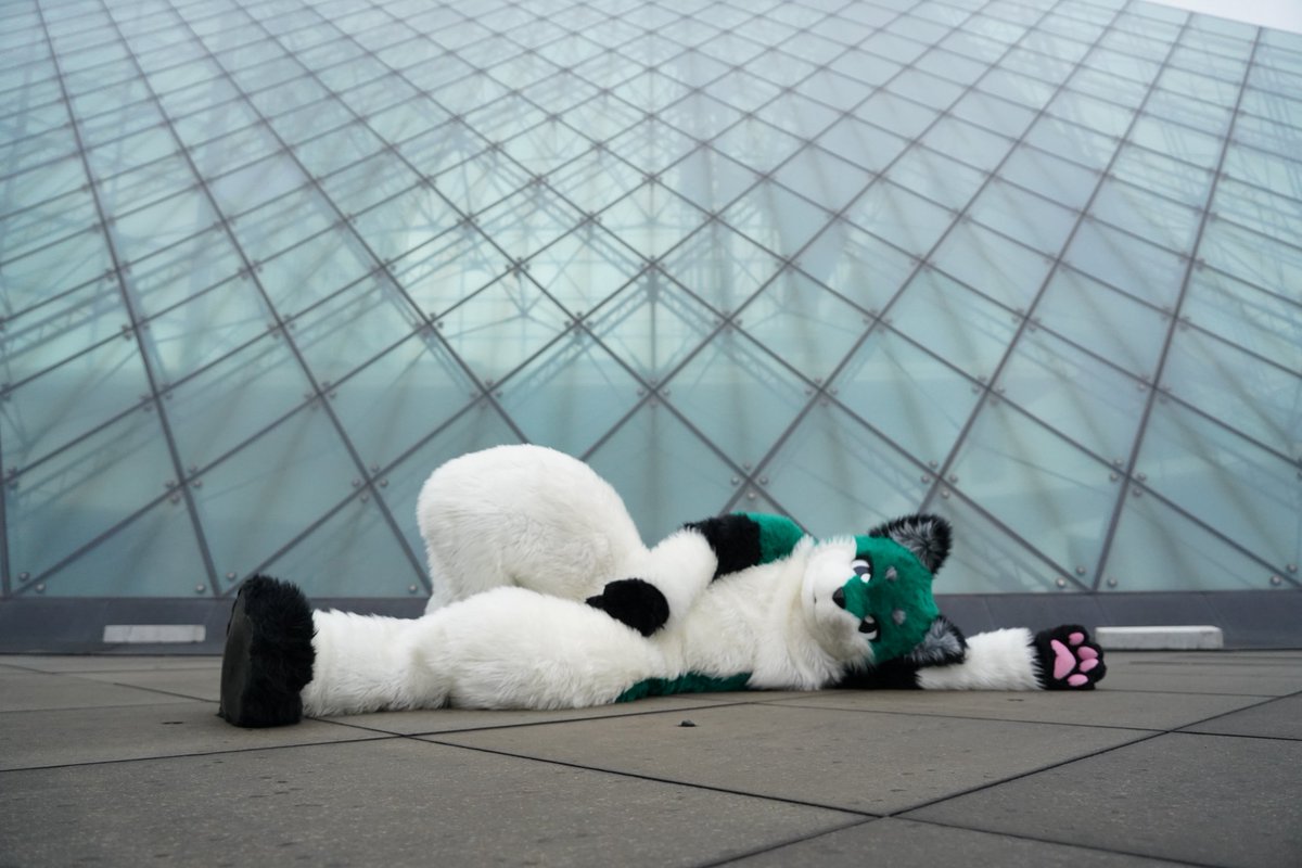 poplar1008's tweet photo. 休みだー！

#FursuitFriday
#ケモエレ2026 https://t.co/PDmJMF8A1p