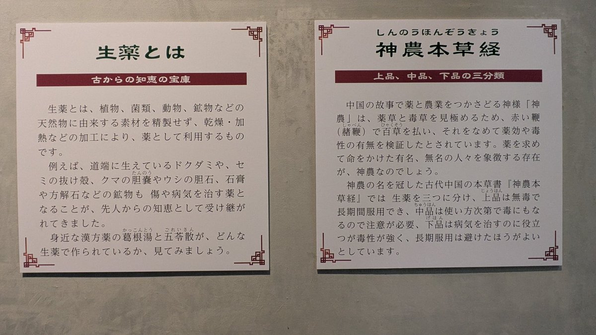 MOMONGA0408's tweet photo. #生薬〜自然からの恵み〜
千葉県立中央博物館✕薬屋のひとりごと
〜6/15まで
大多喜にあった薬草園のコレクション（11年ぶりの公開!）を中心に古典籍や生薬を商う薬屋さんについてなど盛りだくさんな展示！
6/15は月曜日ですが「千葉県民の日」なので開いてますよ!! 
ポスター撮り忘れ🥹 https://t.co/wU427sw0Yq