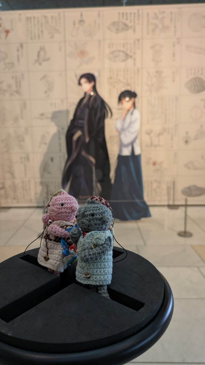 MOMONGA0408's tweet photo. #生薬〜自然からの恵み〜
千葉県立中央博物館✕薬屋のひとりごと
〜6/15まで
大多喜にあった薬草園のコレクション（11年ぶりの公開!）を中心に古典籍や生薬を商う薬屋さんについてなど盛りだくさんな展示！
6/15は月曜日ですが「千葉県民の日」なので開いてますよ!! 
ポスター撮り忘れ🥹 https://t.co/wU427sw0Yq