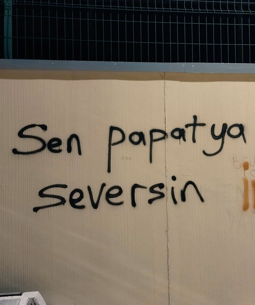 baalsayed's tweet photo. Sen papatya seversin çünki🤍 https://t.co/9wEbybyQCs