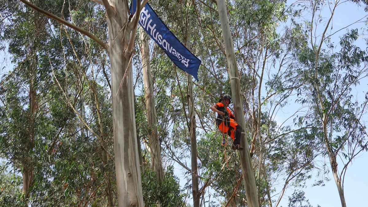 galiforest's tweet photo. 🌲 Aquí el escenario es el monte real.

Máquinas y equipos trabajando en su entorno de verdad.

📍2, 3 y 4 de julio · Sergude, Galicia

🔗 https://t.co/4ziwj7zaPf 

#galiforest26 #GaliciaéMadeira #sectorforestal #maquinariaforestal #FeriaForestal https://t.co/9MEKj0RyPH