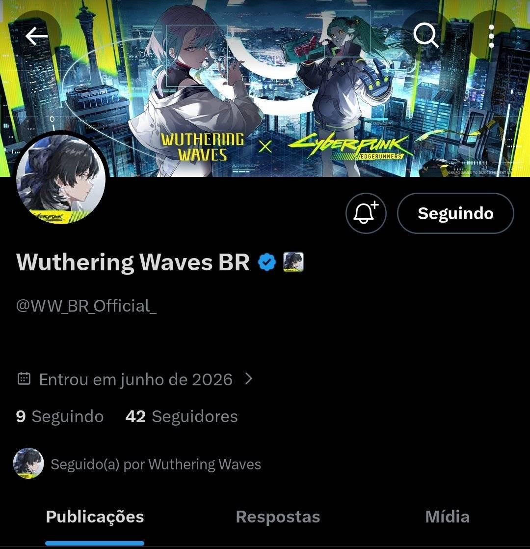 Hakari | WUWA PT BR!!!! 🇧🇷 tweet media