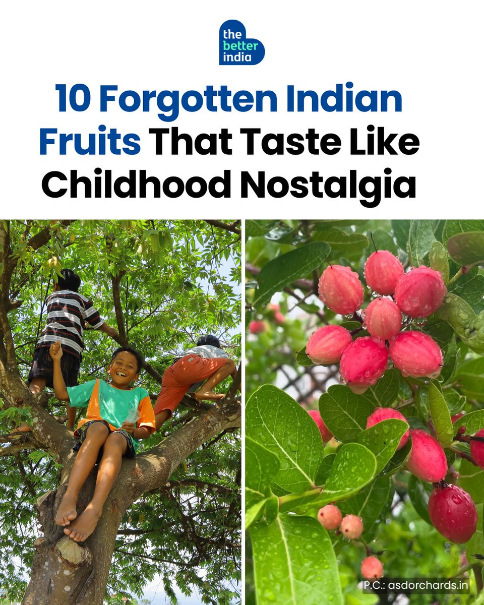 The Better India tweet media