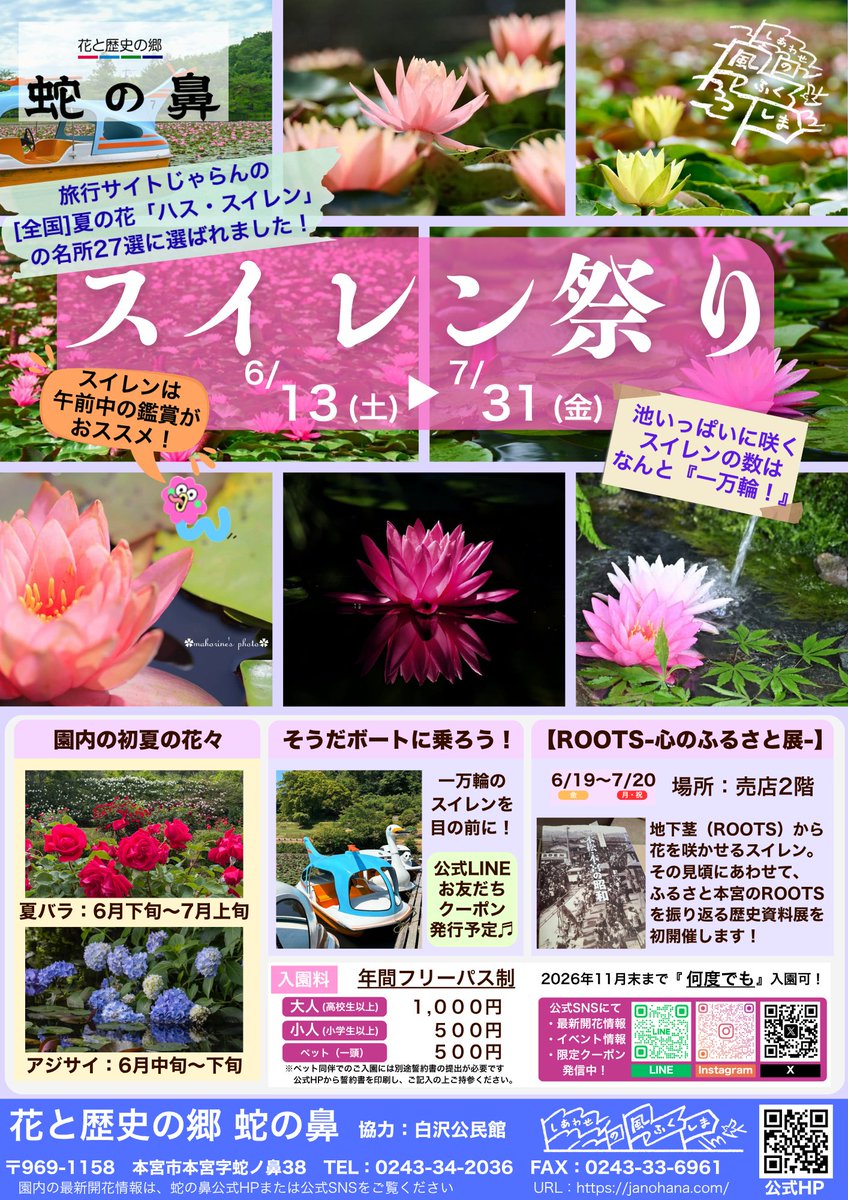 🌸スイレン祭り開催🌸 📅6月13日(土)～7月31日(金) 池いっぱいに咲く