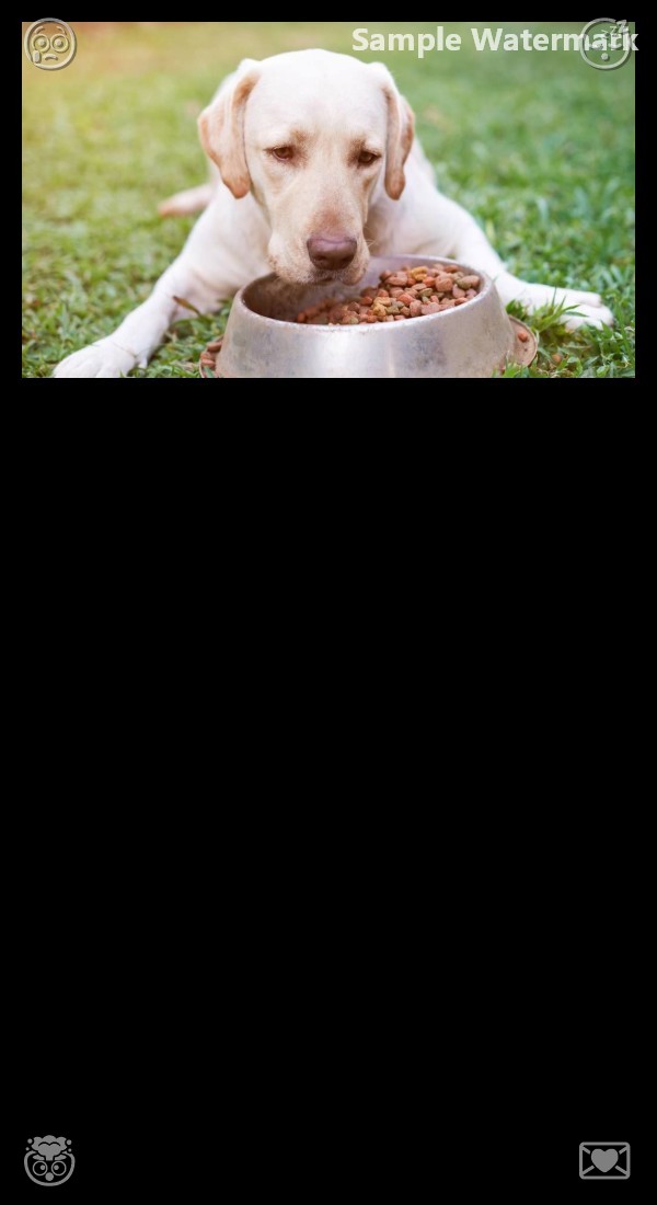 Teslaandcat's tweet photo. Be mindful of your true actions. Savouring fine cuisine reveals the ingenuity in simple ingredients, while professional culinary techniques unlock the peak flavor of every fresh component. https://t.co/IiN3WMJoOz