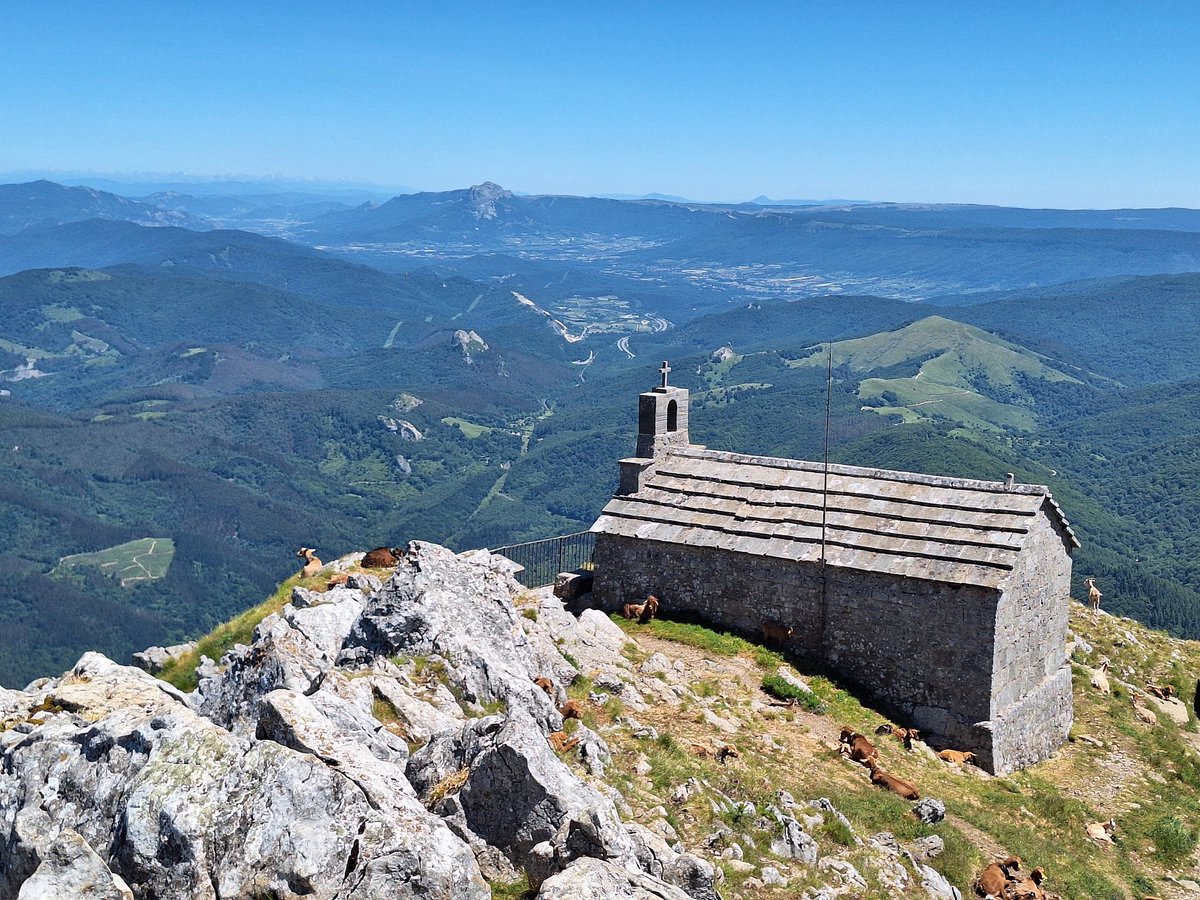 Inakili's tweet photo. 20 urte baziren Aizkorriko gaina zapaltzen ez nuena. Ederra parajea.
Gure bazterrak https://t.co/oo4HknVeCM