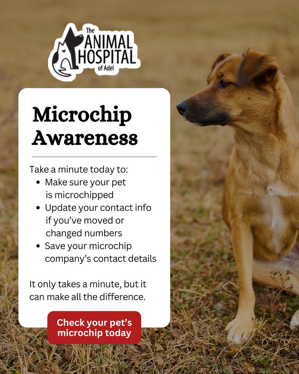 TheAHofAdel's tweet photo. A microchip is a simple step that can make a life-saving difference 🐾 Ensure your pet’s microchip is registered and your contact info is up to date for reliable pet identification. Schedule a quick check today 🔍 

#PetMicrochip #PetSafety #PetPreparednessMonth https://t.co/vtbbN9jiJo