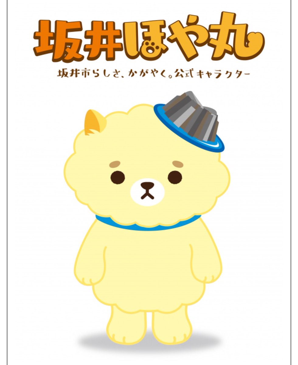 mayukoNLC3's tweet photo. 坂井ほや丸ちゃんと言うめちゃくちゃ可愛い子を見つけてしまった、、、、やばいぞこれは可愛い
#坂井ほや丸 https://t.co/iG3BlWZ9be