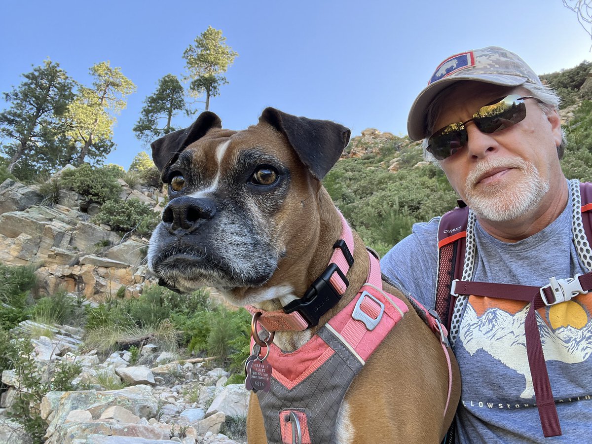brianmc_arch's tweet photo. @PhilSledge #QueenRubyMae https://t.co/MWzDvsMN4v