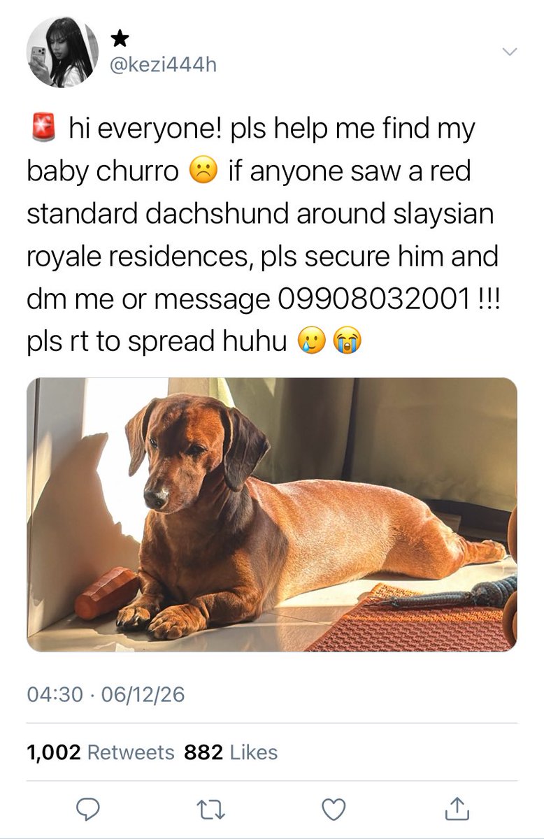 kznyuri's tweet photo. churro’s master plan! 🐾

when escape artist dog churro slips out of kei’s (k) condo unit and wanders into their neighbor adi’s (a) unit, an unexpected pet-sitting mishap forces the two to cross paths. turns out, churro makes an excellent wingman!

a #khizona au https://t.co/OUCV7vcDto