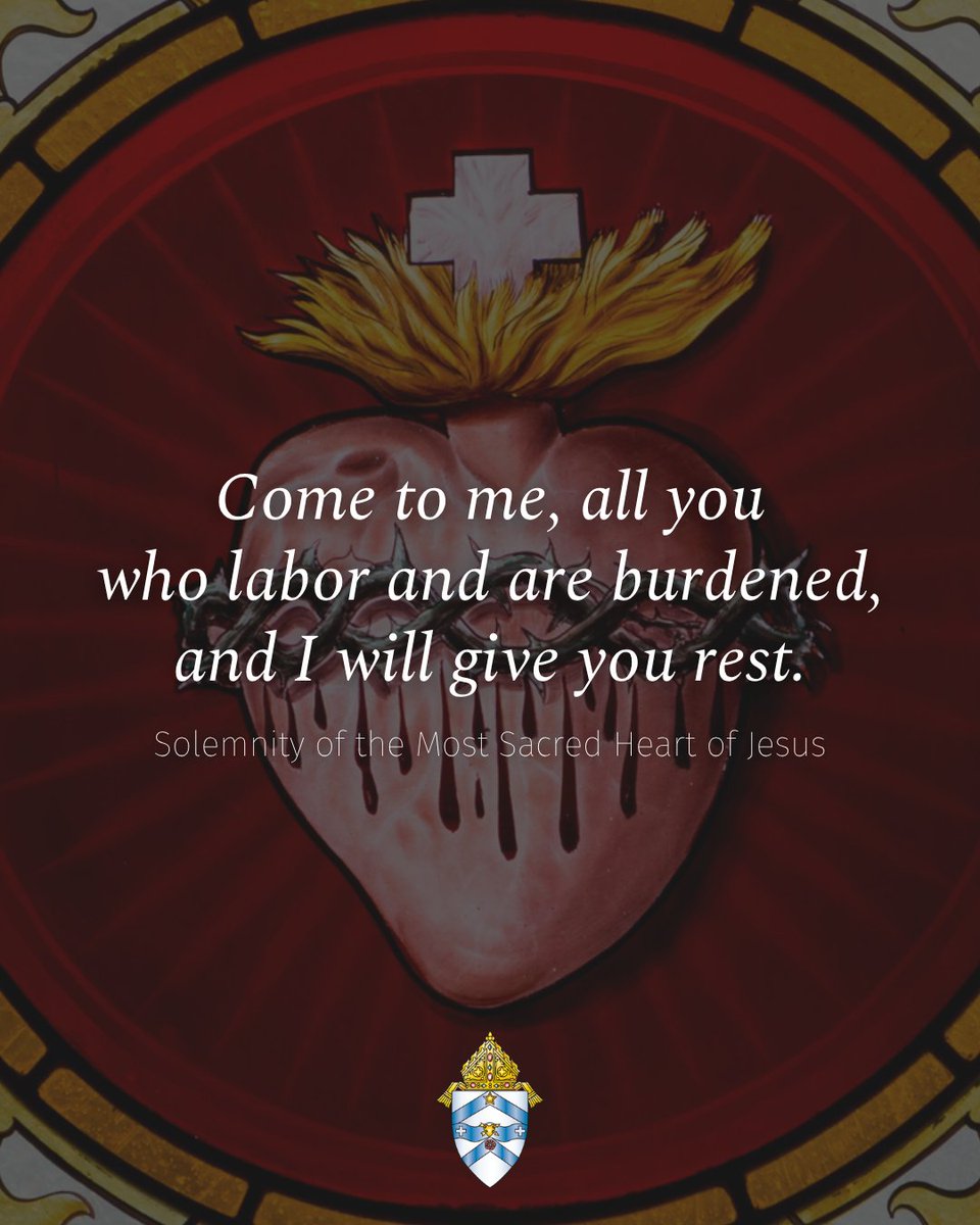Diocese of Austin tweet media