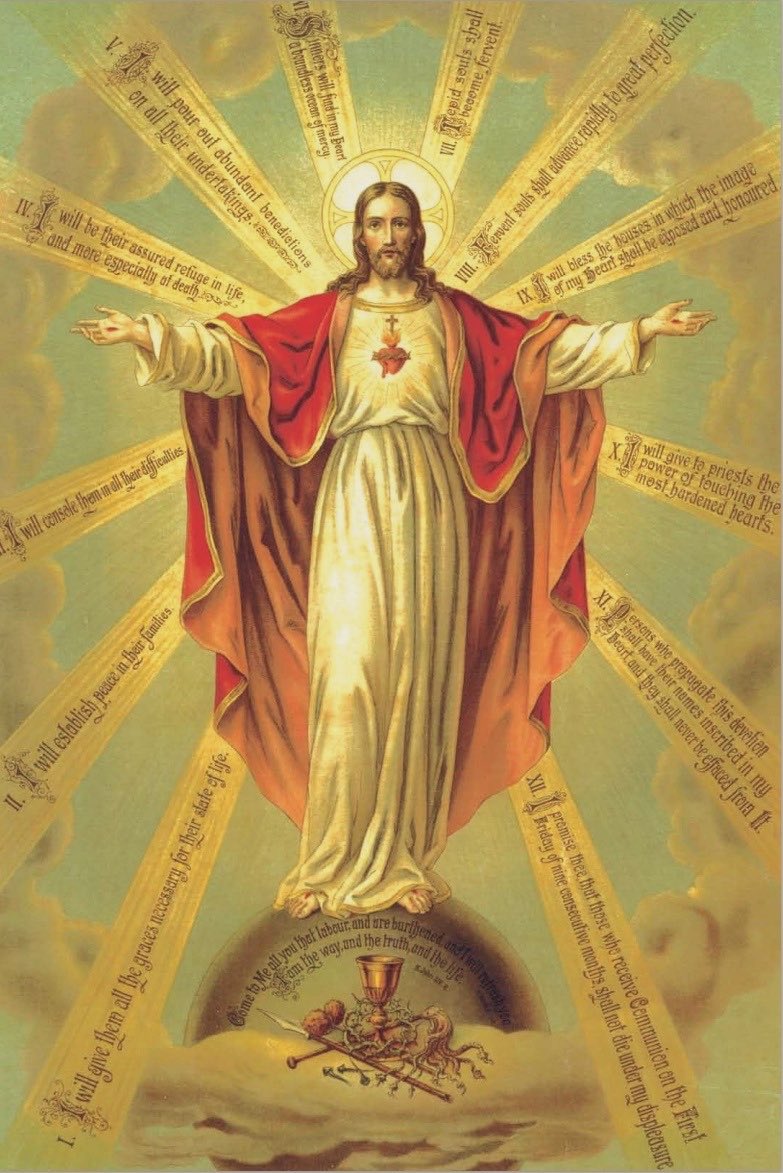 PrayTheRosary's tweet photo. Sacred Heart of Jesus, we trust in Thee https://t.co/kpFZVQ7YGq