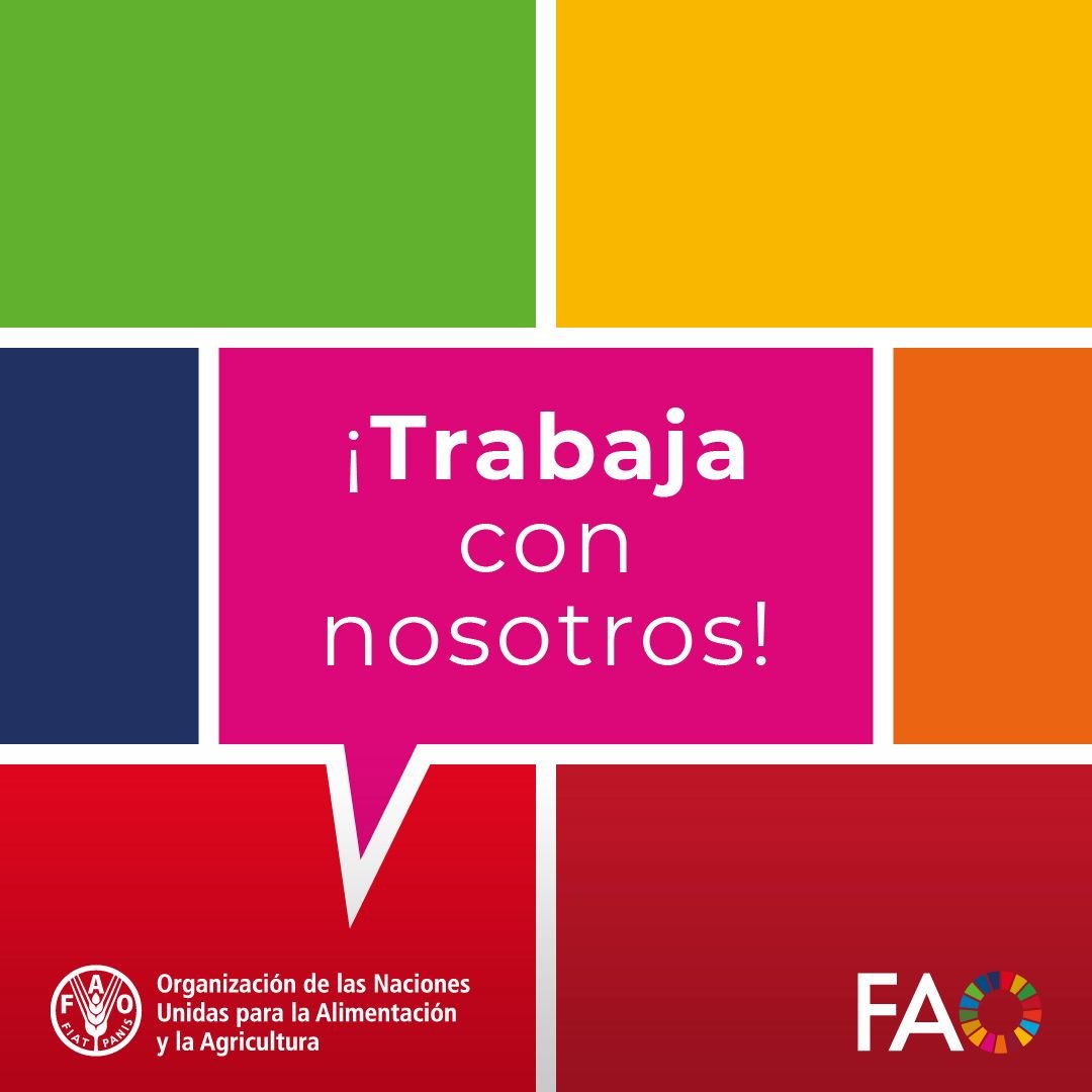 FAOEcuador's tweet photo. ¡Únete a nuestro equipo!           

Especialista en Agroindustria, Mercados y Canales de Comercialización 
⏰ Aplica hasta el 26/06     
👉https://t.co/3K7PuIcHhc https://t.co/USF88oEcz4